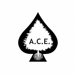 ACE-logo-600x600px